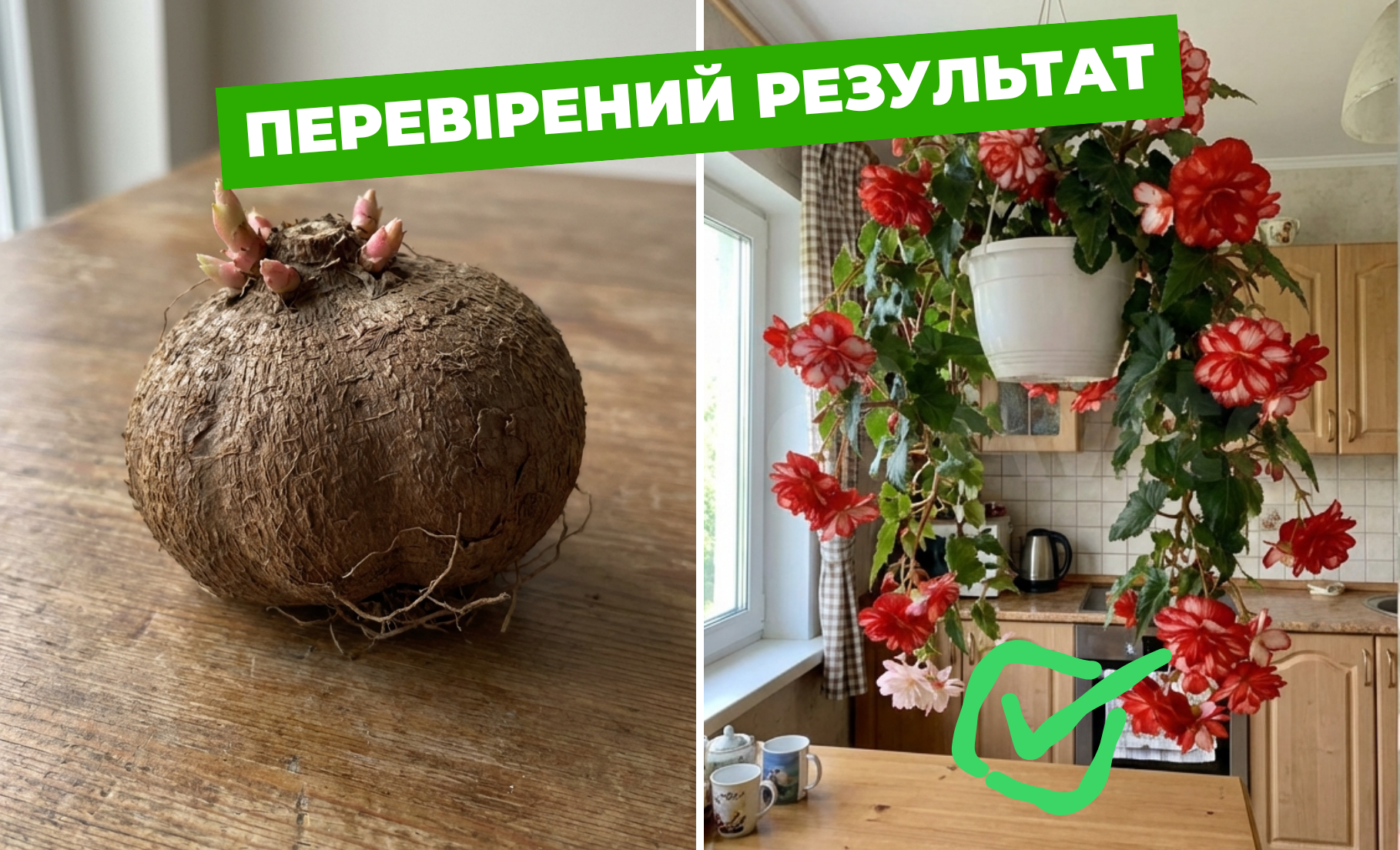 Наша реальна відправка